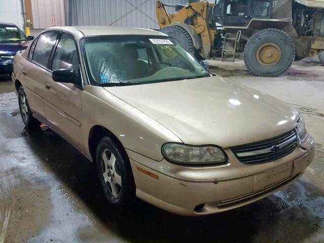 1G1ND52F75M235593 - 2005 CHEVROLET CLASSIC BEIGE photo 1