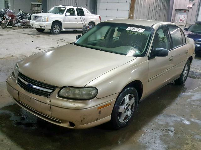 1G1ND52F75M235593 - 2005 CHEVROLET CLASSIC BEIGE photo 2