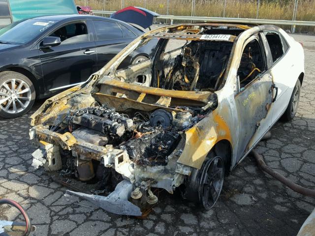 1G11B5SL1EF173543 - 2014 CHEVROLET MALIBU LS 白色 照片 2