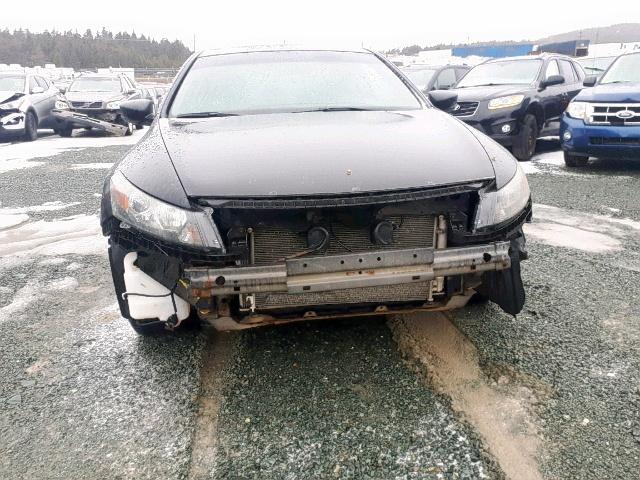 1HGCS1A8XBA800207 - 2011 HONDA ACCORD EXL BLACK photo 9