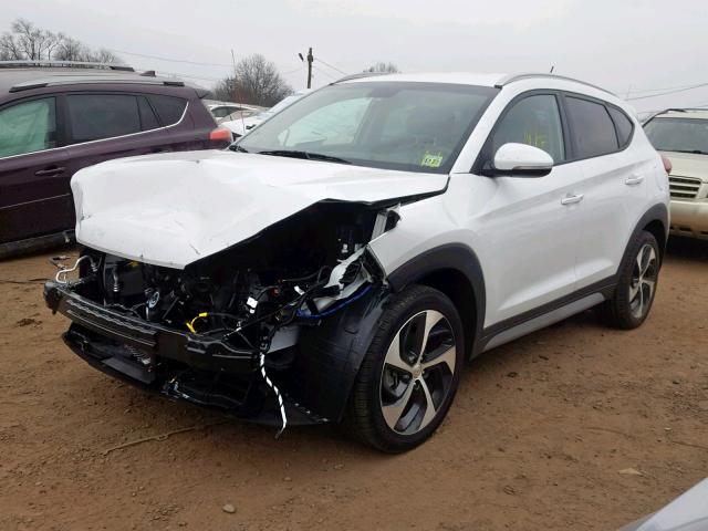 KM8J3CA29HU589823 - 2017 HYUNDAI TUCSON LIM WHITE photo 2