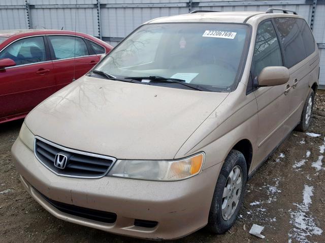 5FNRL18982B020170 - 2002 HONDA ODYSSEY EX GOLD photo 2