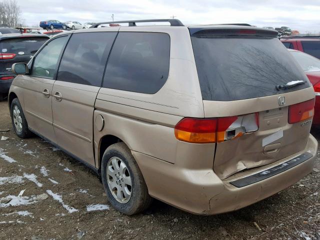 5FNRL18982B020170 - 2002 HONDA ODYSSEY EX GOLD photo 3