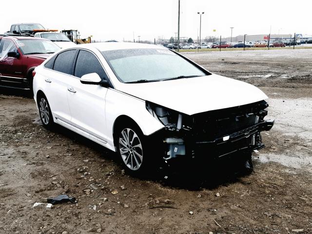 5NPE34AF5FH252703 - 2015 HYUNDAI SONATA SPO WHITE photo 1