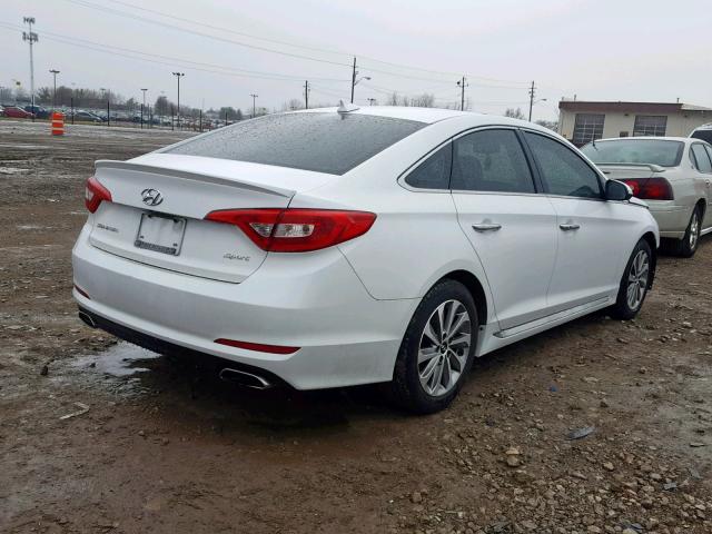 5NPE34AF5FH252703 - 2015 HYUNDAI SONATA SPO WHITE photo 4