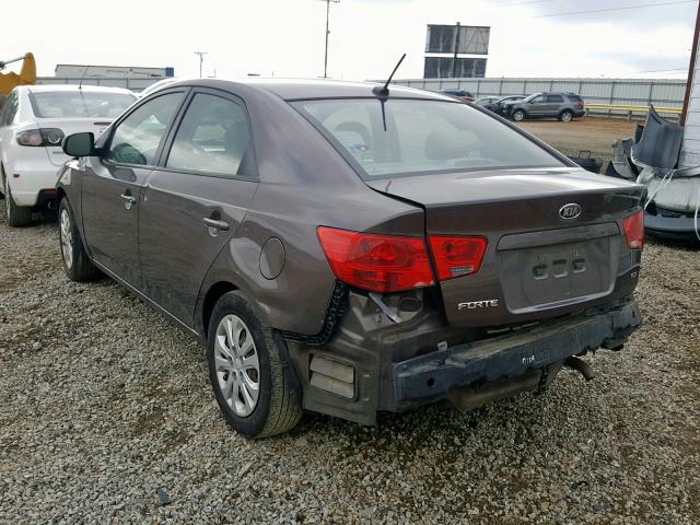 KNAFU4A26D5684435 - 2013 KIA FORTE EX BROWN photo 3