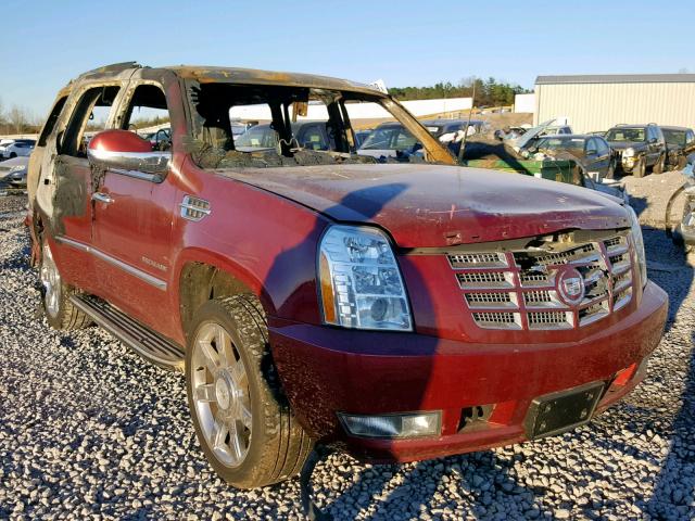 1GYS4BEF1BR129461 - 2011 CADILLAC ESCALADE L BURN photo 1