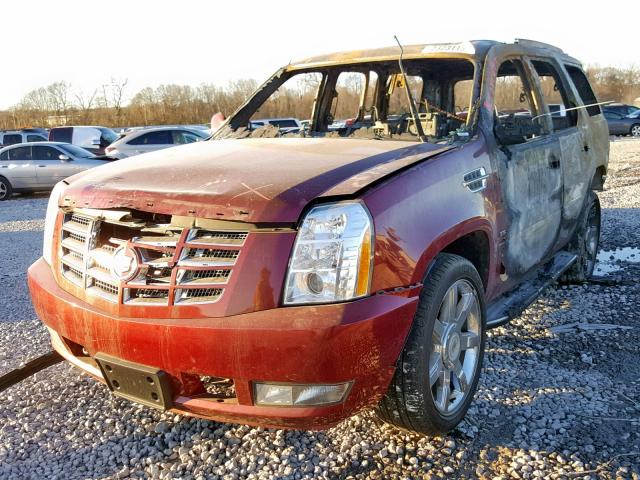 1GYS4BEF1BR129461 - 2011 CADILLAC ESCALADE L BURN photo 2