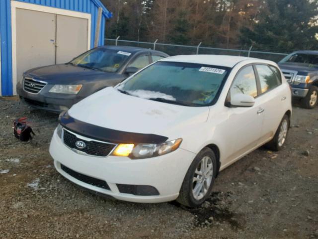 KNAFU5A2XB5372525 - 2011 KIA FORTE EX WHITE photo 2