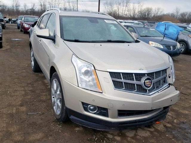 3GYFNCEY9AS588416 - 2010 CADILLAC SRX PREMIU GOLD photo 1