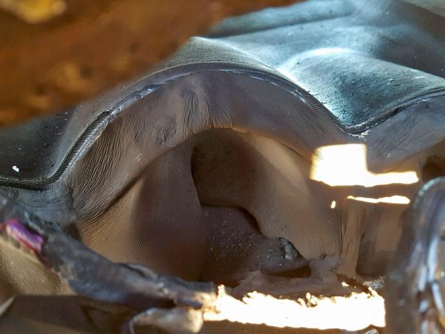 JTKDE3B73A0321197 - 2010 TOYOTA SCION TC 银色 照片 8