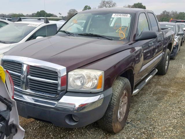 1D7HW48K75S306256 - 2005 DODGE DAKOTA QUA MAROON photo 2