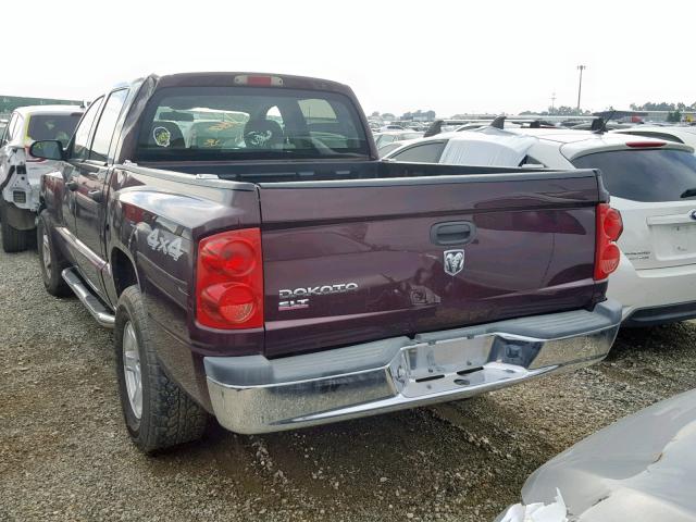 1D7HW48K75S306256 - 2005 DODGE DAKOTA QUA MAROON photo 3