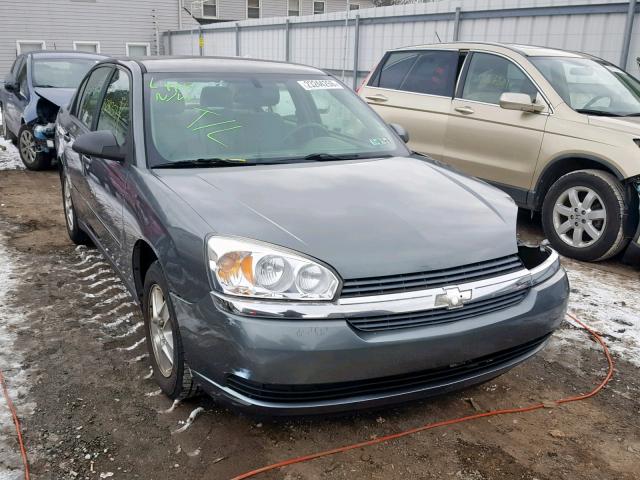 1G1ZT54884F242784 - 2004 CHEVROLET MALIBU LS Сұр фото 1