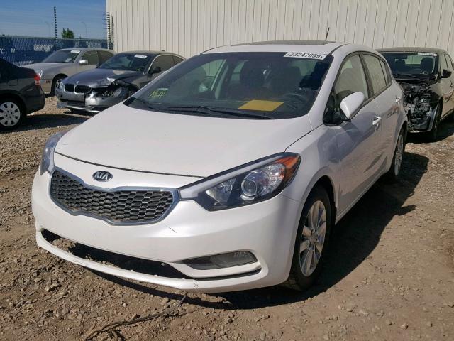 KNAFK5A82G5449616 - 2016 KIA FORTE LX WHITE photo 2