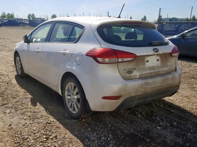KNAFK5A82G5449616 - 2016 KIA FORTE LX WHITE photo 3