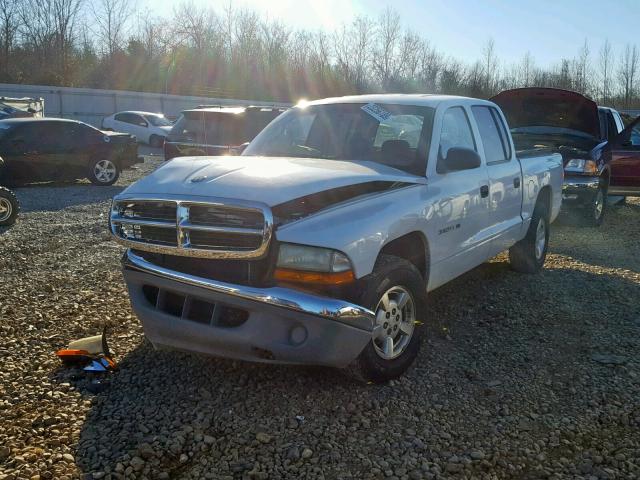 1B7HL48X12S560927 - 2002 DODGE DAKOTA QUA WHITE photo 2