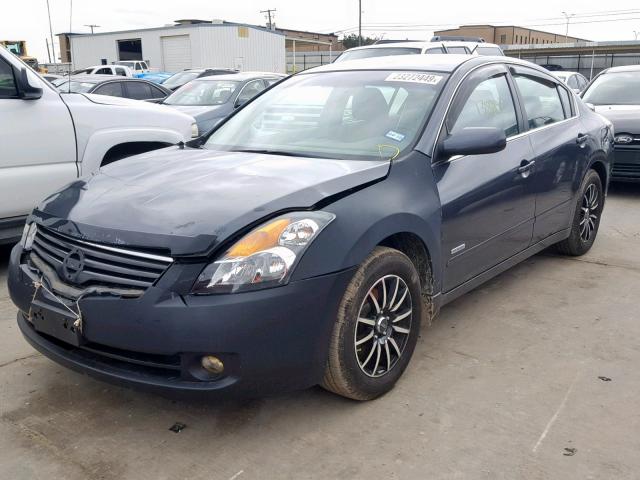 1N4CL21E39C118779 - 2009 NISSAN ALTIMA HYB BLUE photo 2