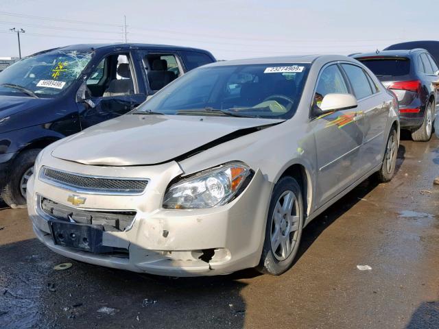 1G1ZH57B29F163952 - 2009 CHEVROLET MALIBU 1LT CREAM photo 2