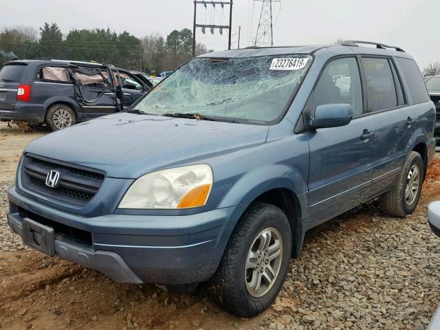 5FNYF18575B043590 - 2005 HONDA PILOT EXL BLUE photo 2