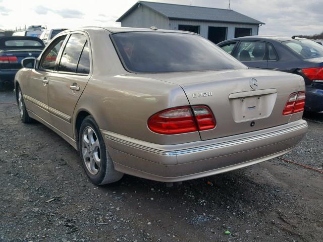 WDBJF65J52B403498 - 2002 MERCEDES-BENZ E 320 GOLD photo 3