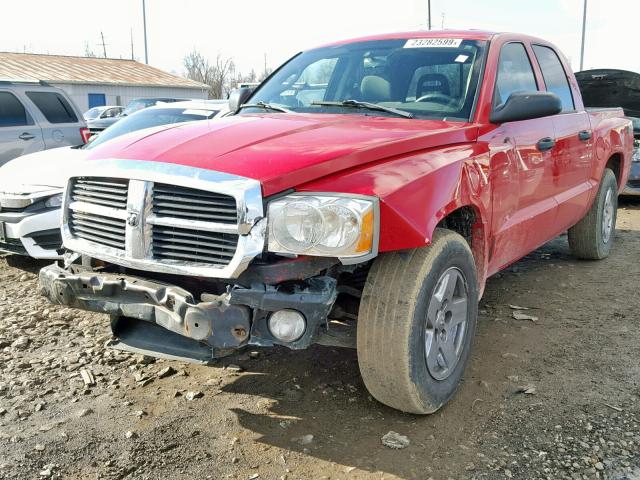 1D7HW48N65S331630 - 2005 DODGE DAKOTA QUA RED photo 2