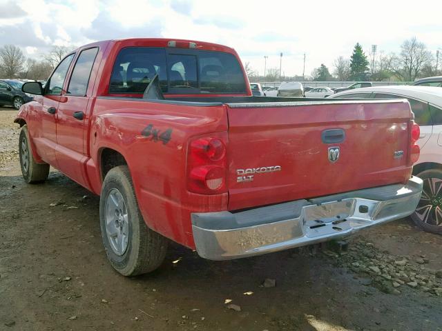 1D7HW48N65S331630 - 2005 DODGE DAKOTA QUA RED photo 3