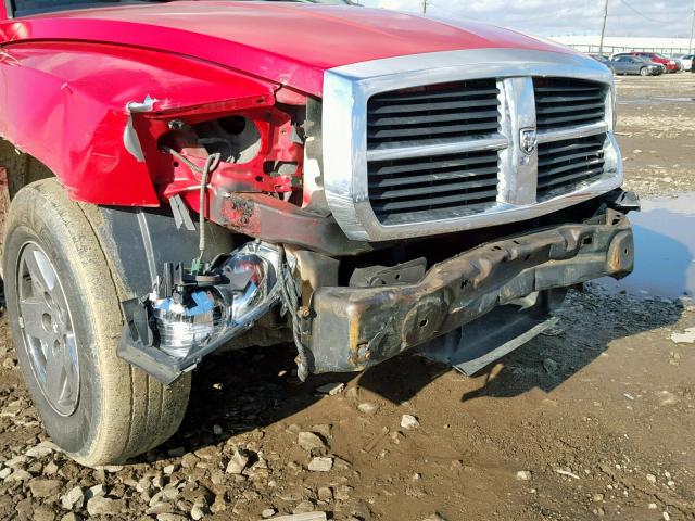 1D7HW48N65S331630 - 2005 DODGE DAKOTA QUA RED photo 9