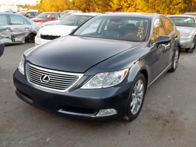 JTHBL46F885065243 - 2008 LEXUS LS 460 BLACK photo 2