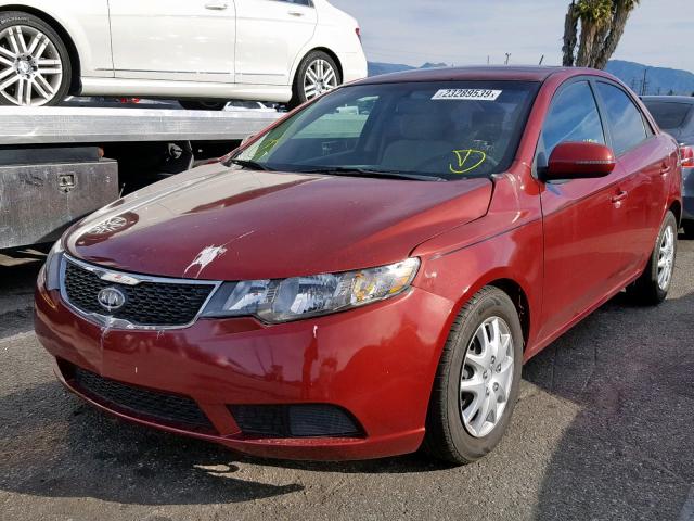 KNAFU4A20C5470216 - 2012 KIA FORTE EX RED photo 2