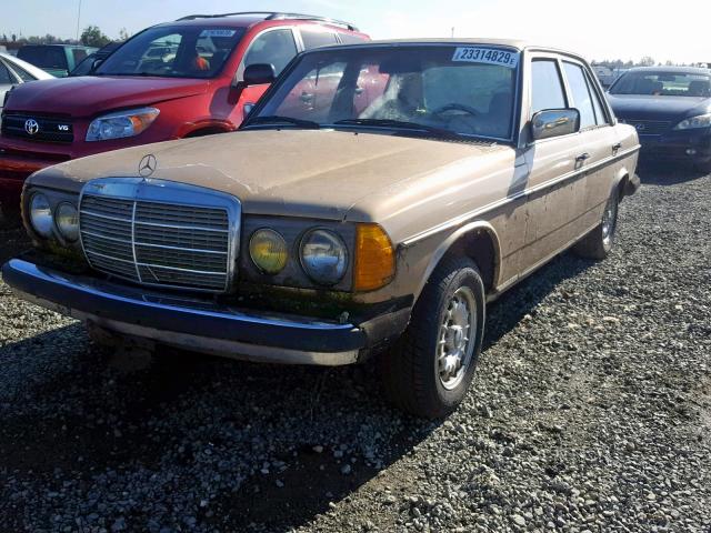 WDBAB23AXBB251225 - 1981 MERCEDES-BENZ 240D GOLD photo 2