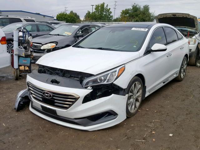 5NPE34AB6FH247653 - 2015 HYUNDAI SONATA SPO WHITE photo 2