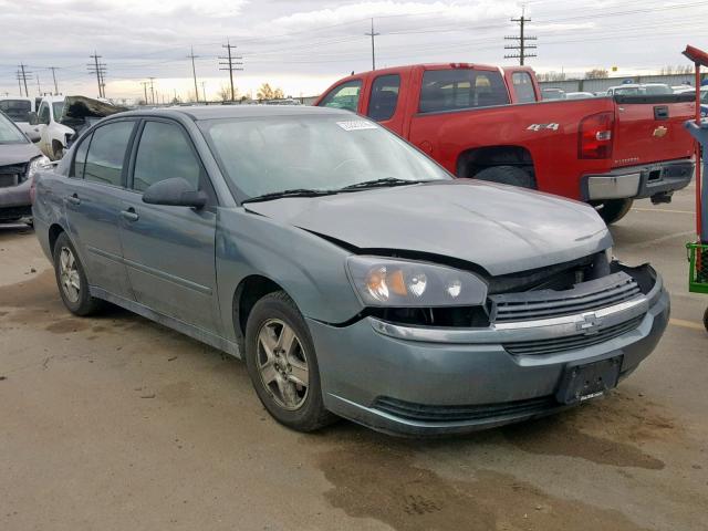 1G1ZT54805F206959 - 2005 CHEVROLET MALIBU LS GRAY photo 1