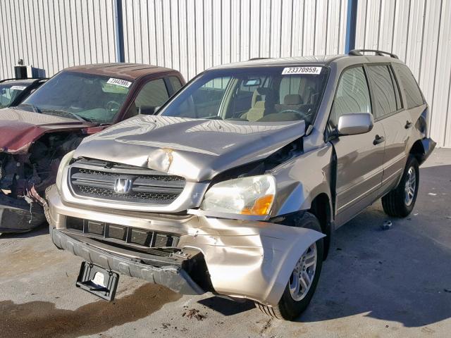 5FNYF18455B047208 - 2005 HONDA PILOT EX GOLD photo 2