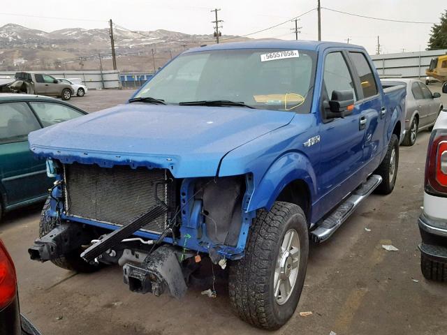 1FTFW1EF8DKF20064 - 2013 FORD F150 SUPER BLUE photo 2