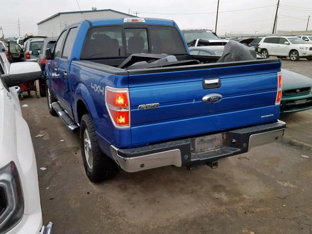 1FTFW1EF8DKF20064 - 2013 FORD F150 SUPER BLUE photo 3