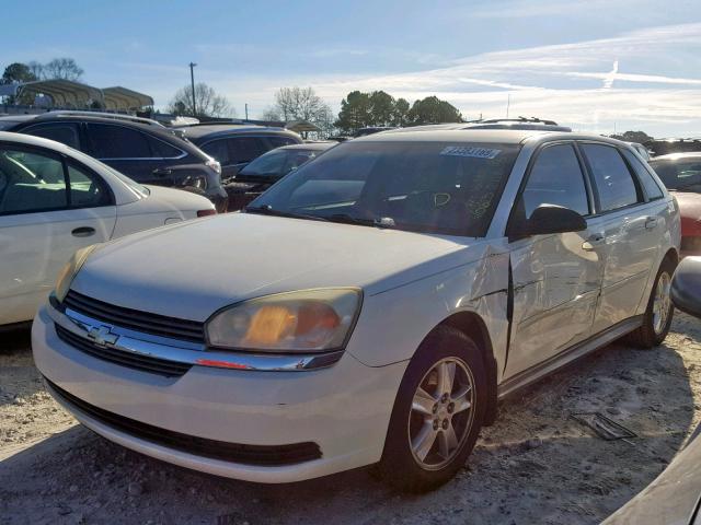1G1ZT62844F230625 - 2004 CHEVROLET MALIBU MAX თეთრი ფოტო 2