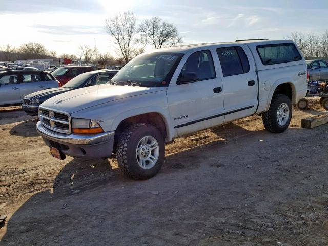 1D7HG48N04S757504 - 2004 DODGE DAKOTA QUA WHITE photo 2