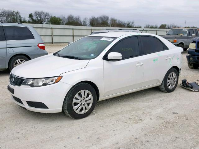 KNAFU4A20C5571501 - 2012 KIA FORTE EX WHITE photo 2