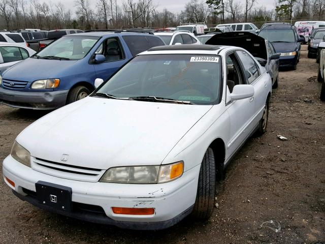 JHMCD5651SC041125 - 1995 HONDA ACCORD EX WHITE photo 2