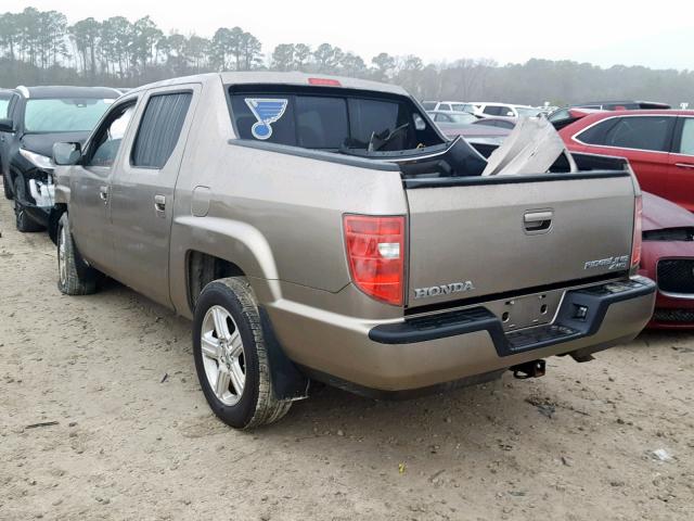 5FPYK1F59BB005618 - 2011 HONDA RIDGELINE GOLD photo 3