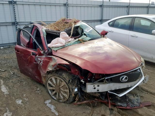 JTHCK262262000394 - 2006 LEXUS IS 250 RED photo 1