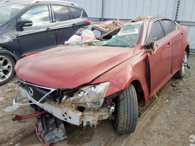 JTHCK262262000394 - 2006 LEXUS IS 250 RED photo 2