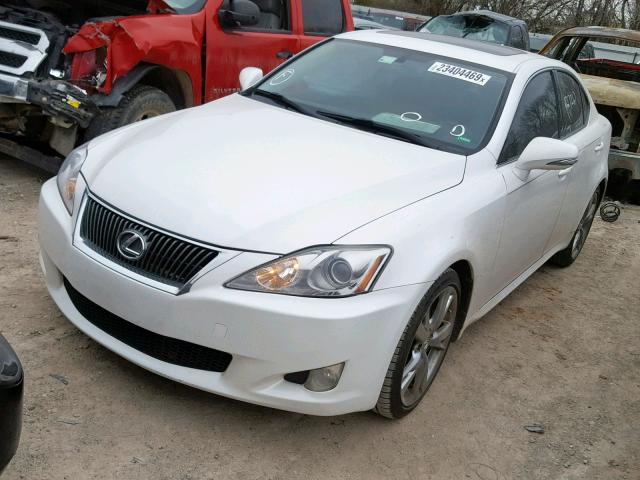 JTHBK262595095581 - 2009 LEXUS IS 250 WHITE photo 2