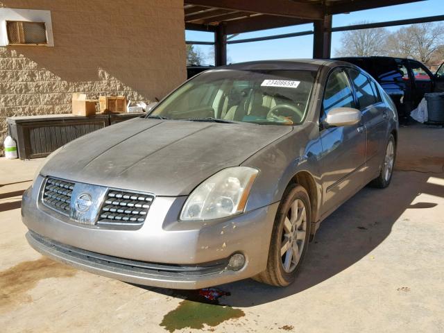 1N4BA41E44C859349 - 2004 NISSAN MAXIMA SE TAN photo 2