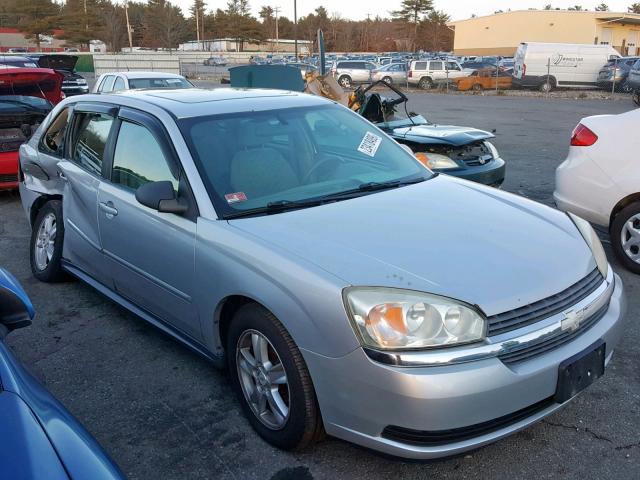 1G1ZT64885F102225 - 2005 CHEVROLET MALIBU MAX SILVER photo 1