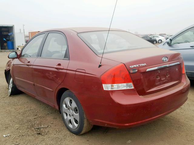 KNAFE121175440598 - 2007 KIA SPECTRA EX BURGUNDY photo 3