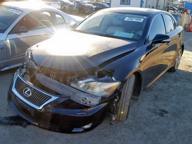 JTHBK262X92094119 - 2009 LEXUS IS 250 BLACK photo 2