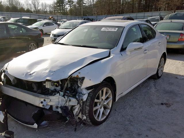 JTHCF5C23C5056221 - 2012 LEXUS IS 250 WHITE photo 2