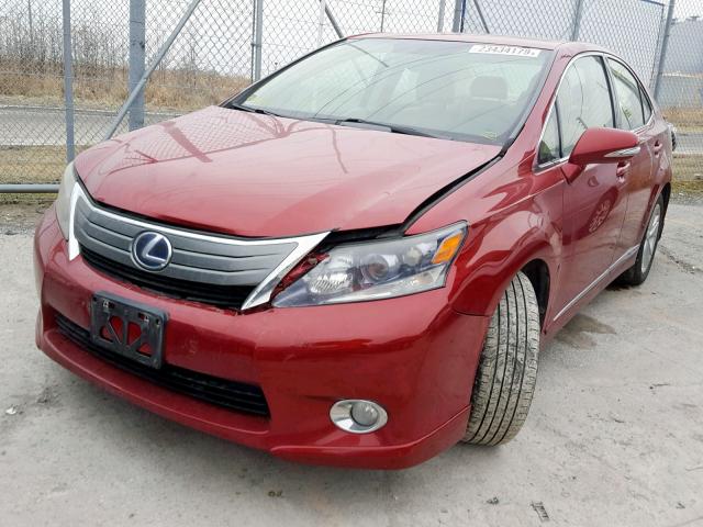 JTHBB1BA4A2011456 - 2010 LEXUS HS 250H RED photo 2